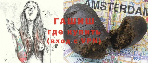индика Абаза