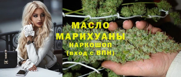 индика Абаза