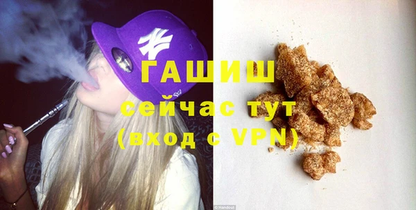 индика Абаза